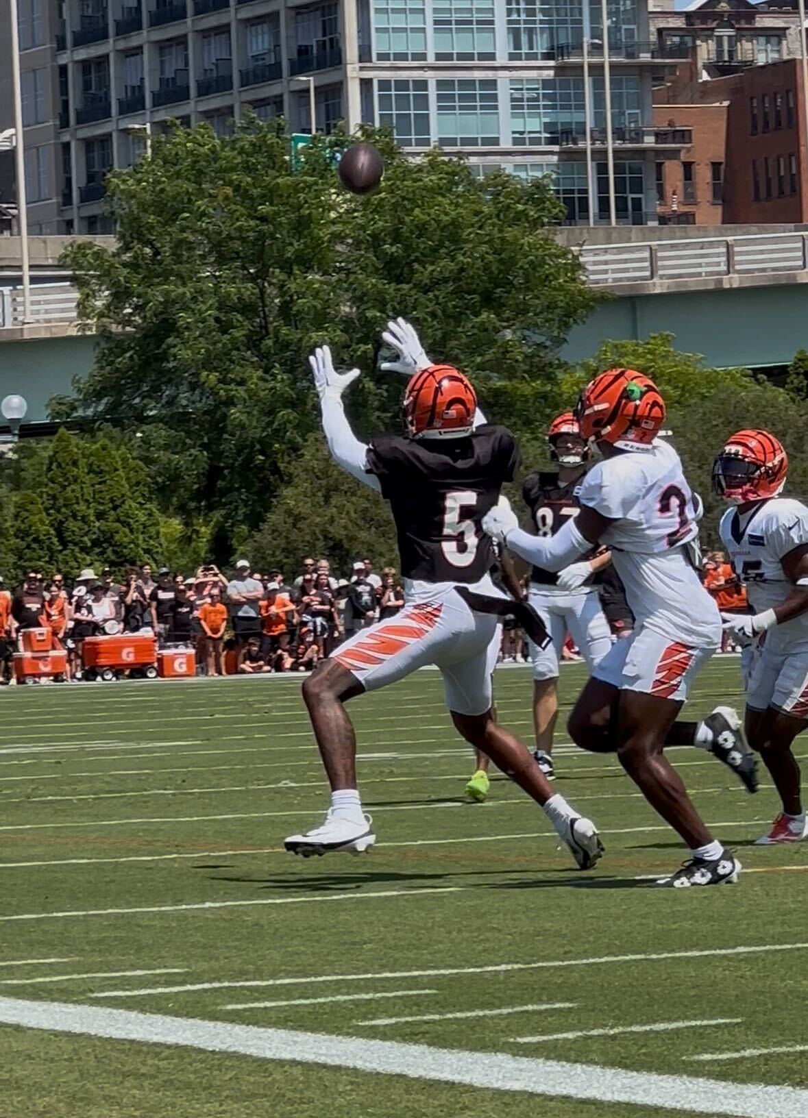 Tee Higgins